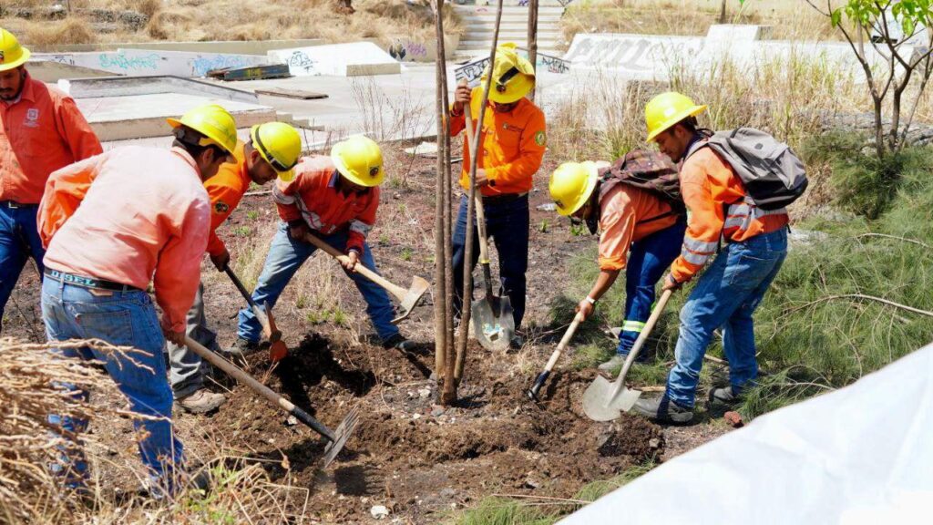 WhatsApp Image 2025-06-02 at 19.59.51