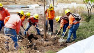 WhatsApp Image 2025-06-02 at 19.59.51