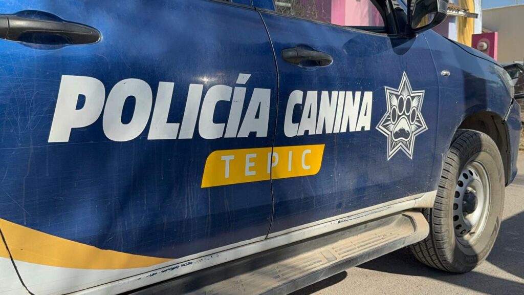 WhatsApp Image 2025-06-08 at 21.53.21