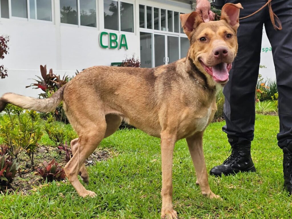 WhatsApp Image 2025-07-02 at 8.12.19 PM (1)