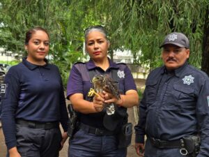 WhatsApp Image 2025-08-12 at 8.27.29 PM