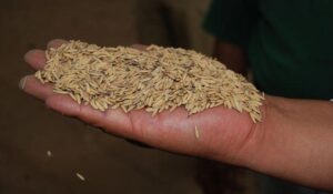 WhatsApp Image 2025-10-01 at 19.37.05