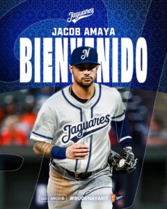 WhatsApp Image 2025-10-02 at 14.01.07