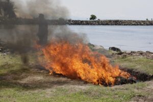 WhatsApp Image 2025-10-02 at 19.15.07