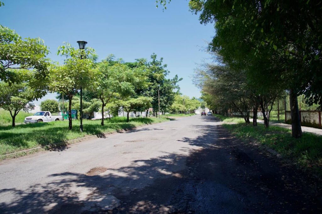 WhatsApp Image 2025-10-06 at 21.33.53