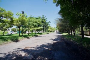 WhatsApp Image 2025-10-06 at 21.33.53