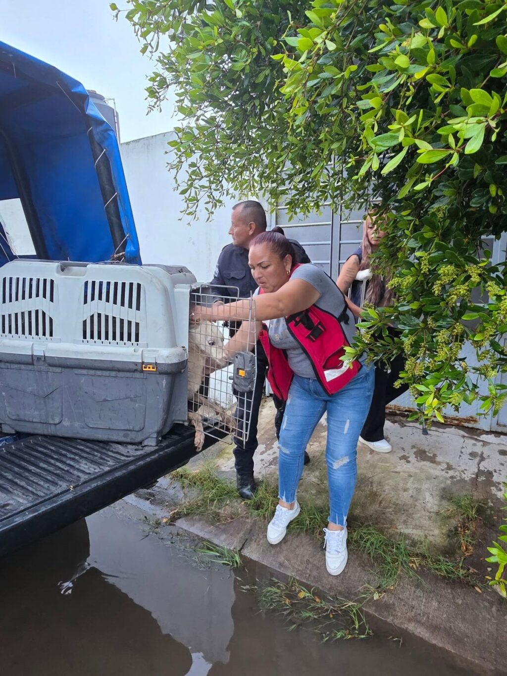 WhatsApp Image 2025-10-07 at 11.05.14 PM