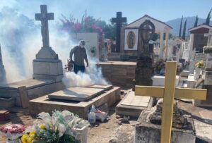 WhatsApp Image 2025-10-30 at 14.26.03