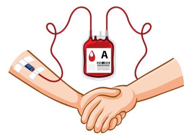 WhatsApp Image 2025-12-01 at 20.18.33