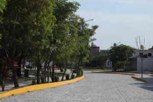 WhatsApp Image 2025-12-02 at 22.08.13 (3)