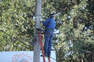 WhatsApp Image 2025-12-04 at 3.53.50 PM