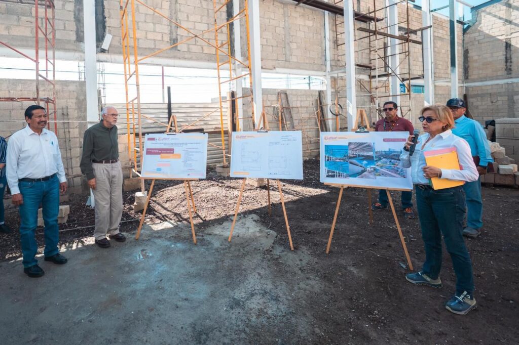 WhatsApp Image 2025-12-28 at 17.36.47