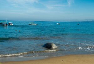 WhatsApp Image 2026-01-29 at 4.33.50 PM