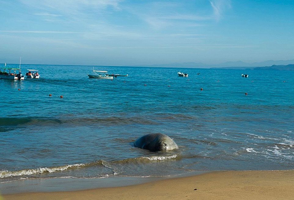 WhatsApp Image 2026-01-29 at 4.33.50 PM