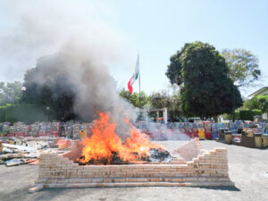 PAG1-3 DESTRUCCION DE DROGA  (3) - copia