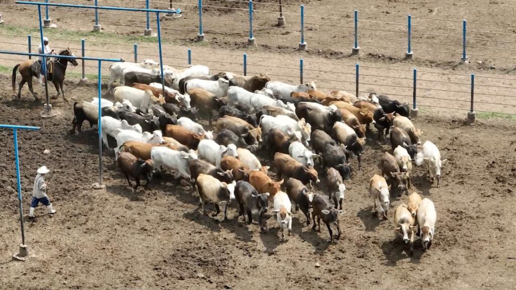 WhatsApp Image 2026-02-06 at 20.40.13