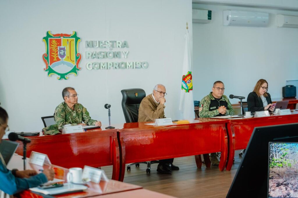 WhatsApp Image 2026-02-11 at 13.40.58 (3)