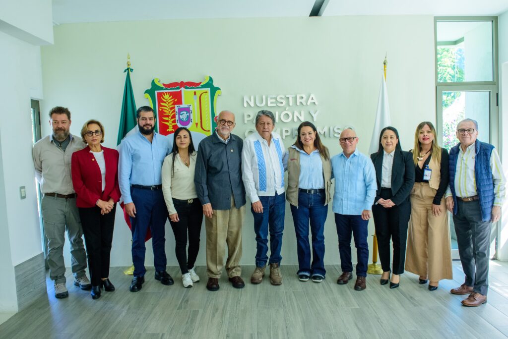 WhatsApp Image 2026-02-12 at 19.18.46