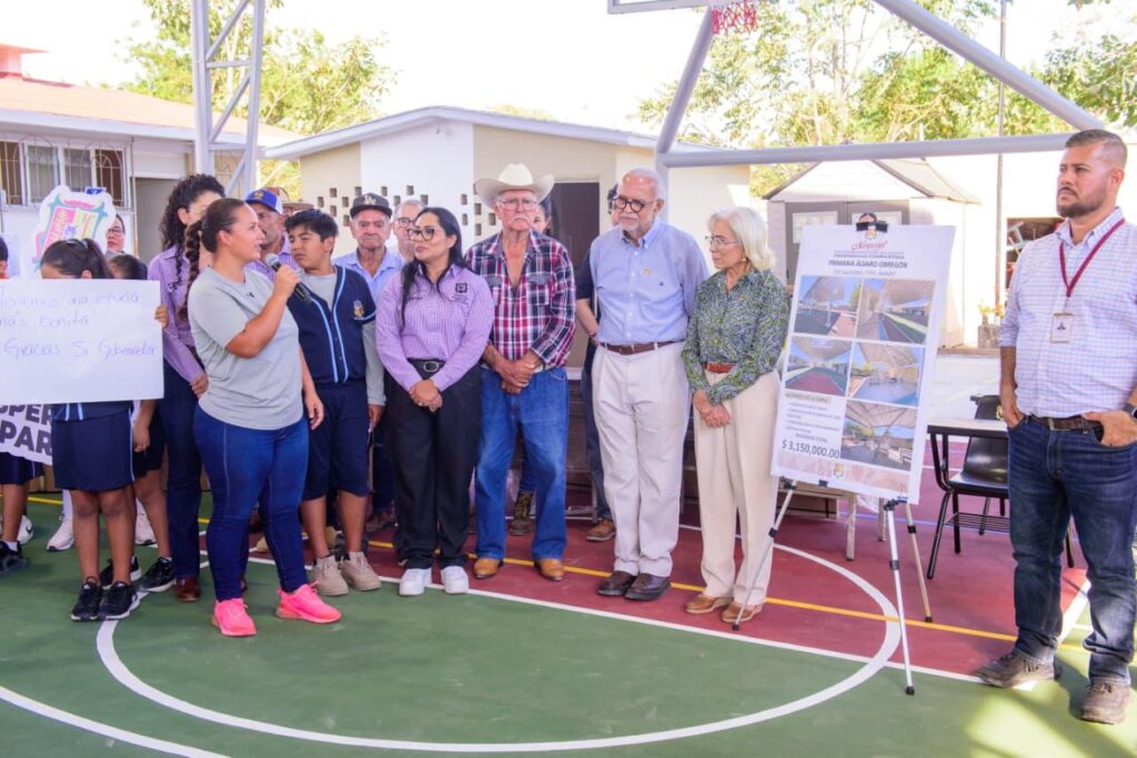 WhatsApp Image 2026-02-15 at 19.19.11