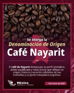 WhatsApp Image 2026-03-04 at 12.40.11 (1)