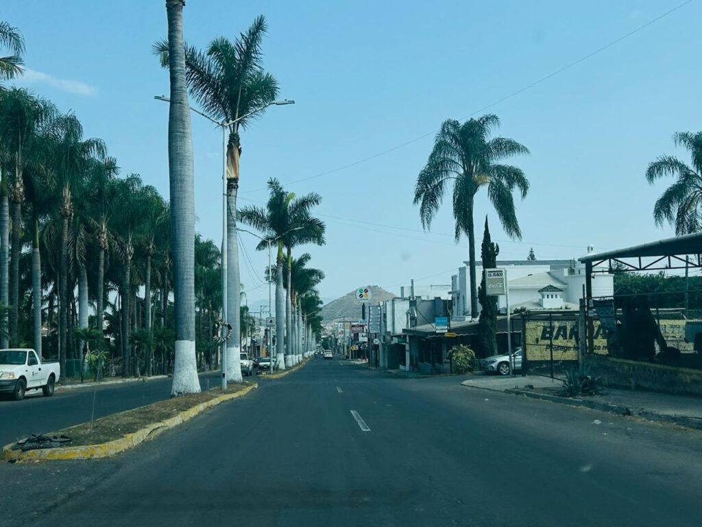 WhatsApp Image 2026-03-04 at 21.31.24