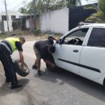 WhatsApp Image 2026-03-11 at 11.01.52 (1)