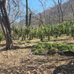 WhatsApp Image 2026-03-18 at 5.46.08 PM (2)