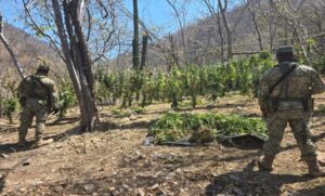 WhatsApp Image 2026-03-18 at 5.46.08 PM (2)