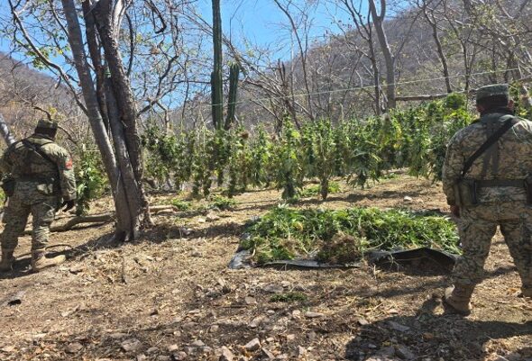 WhatsApp Image 2026-03-18 at 5.46.08 PM (2)