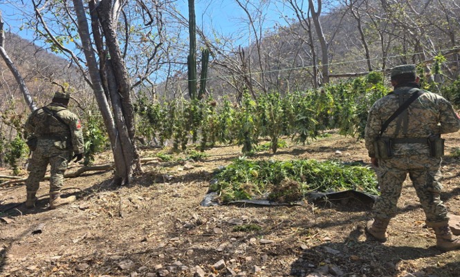 WhatsApp Image 2026-03-18 at 5.46.08 PM (2)