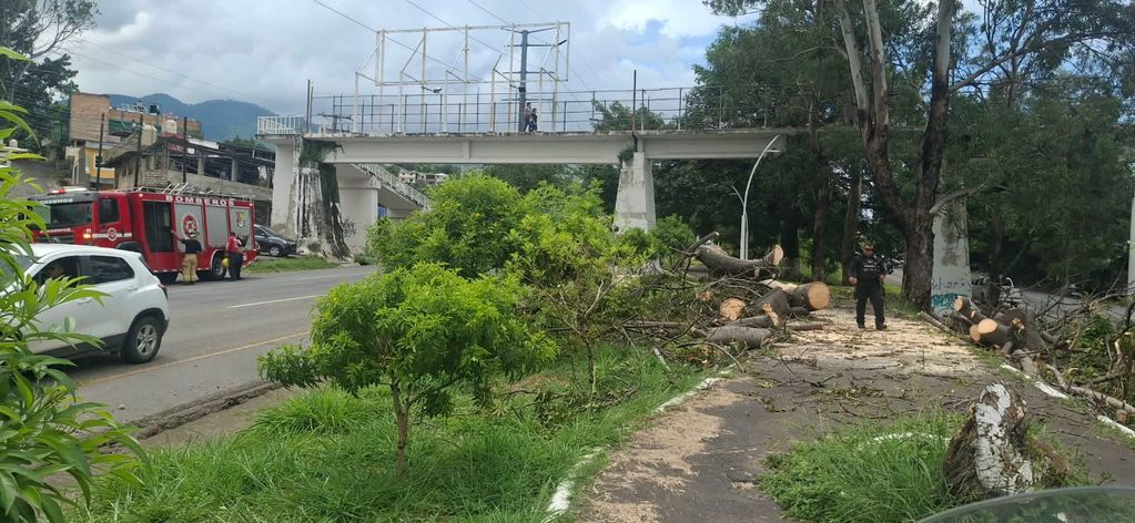 WhatsApp Image 2026-08-31 at 16.47.11 (1)